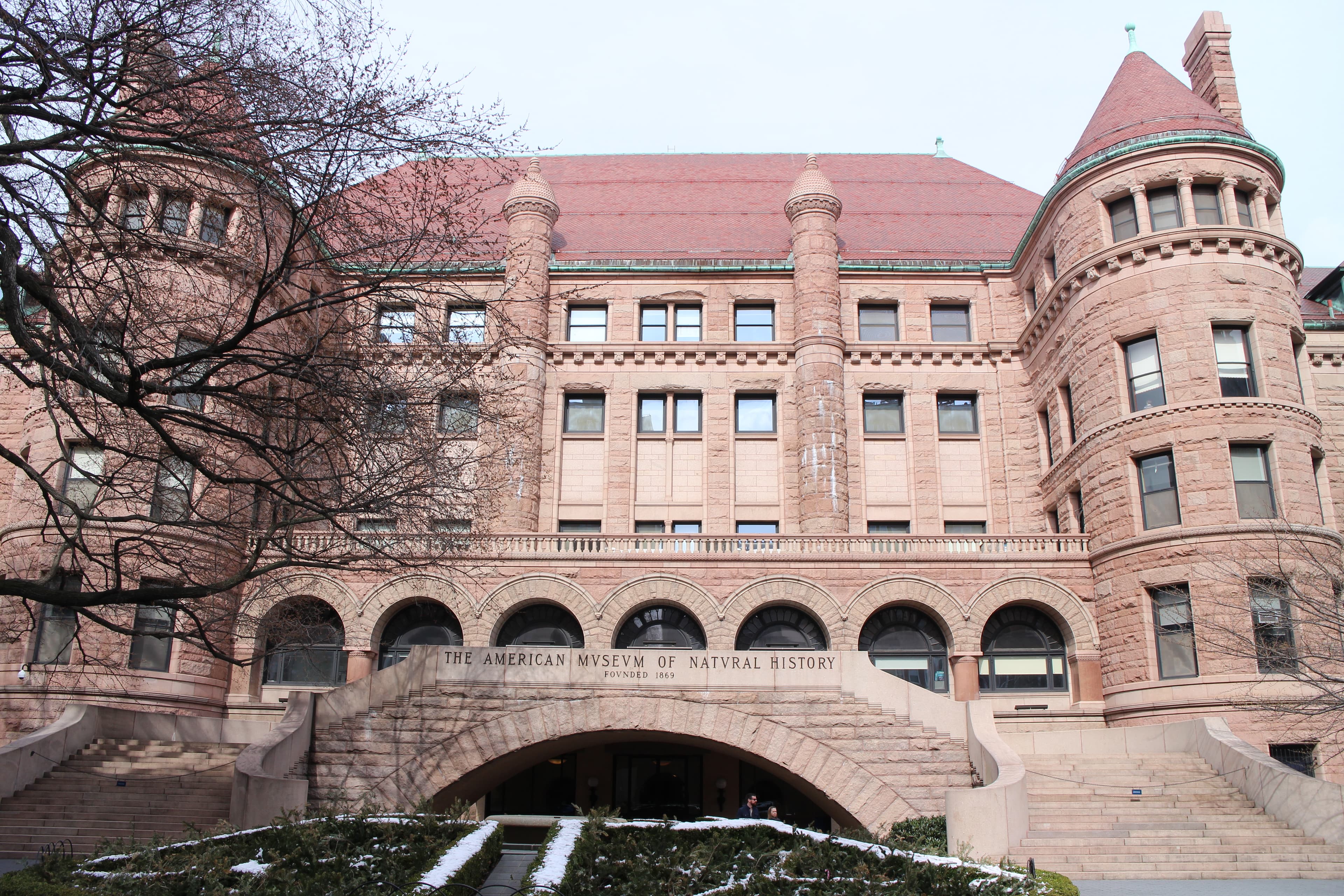 American Museum of Natural History: Scientific Wonder on Central Park West